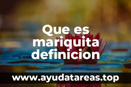 Que es mariquita definicion