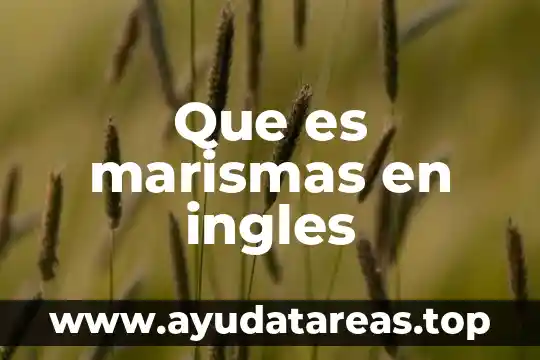 Que es significa la v en ingles 4 Que es marismas en ingles