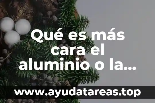 Que es bueno para la grasa de la cara 8 Qué es más cara el aluminio o la madera