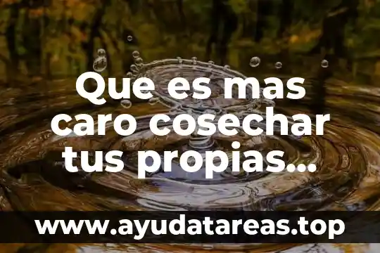Que es escepticismo propias palabras 5 Que es mas caro cosechar tus propias verduras o comprarlas