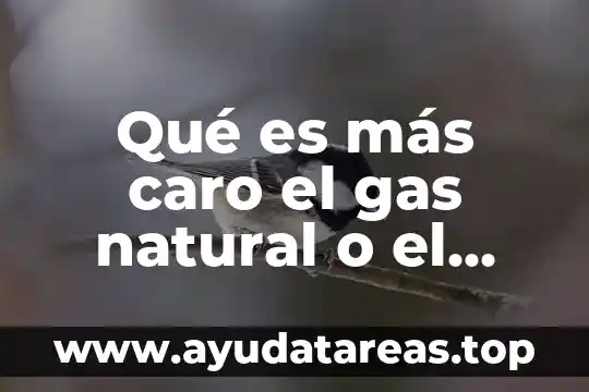 Que es un gas concepto 6 Qué es más caro el gas natural o el licuado