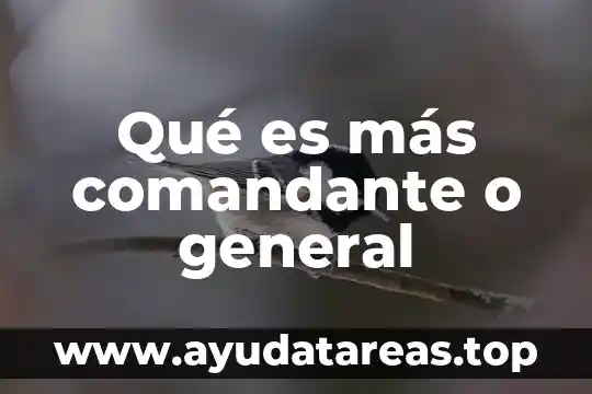 Qué es más comandante o general