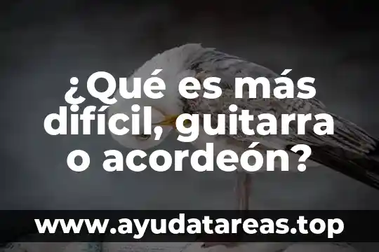 ¿Qué es más difícil, guitarra o acordeón?
