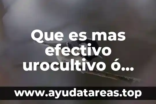 Que es mas efectivo urocultivo ó espermocultivo