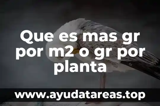 Que es una planta perenifolia 6 Que es mas gr por m2 o gr por planta