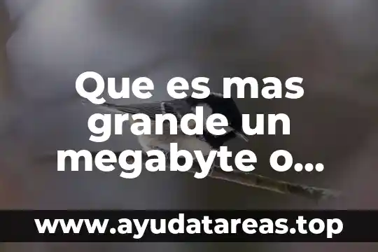 Que es mas grande un megabyte o kilobyte