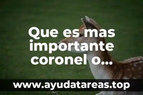 Que es mas denso el agua o aseite 3 Que es mas importante coronel o teniente