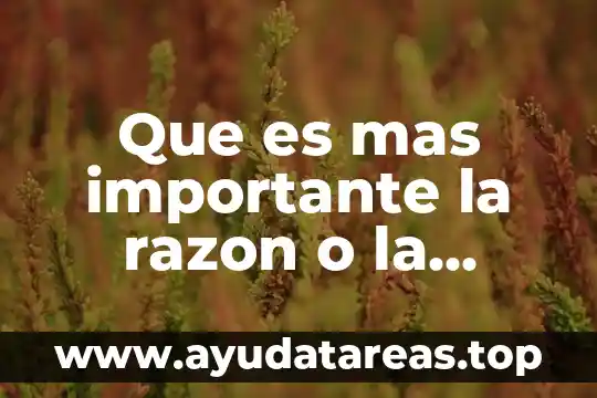 Por que es importante el agua en los seres vivos 4 Que es mas importante la razon o la experiencia