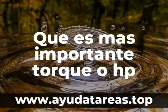 Que significa ansi-sparc por que es importante 3 Que es mas importante torque o hp