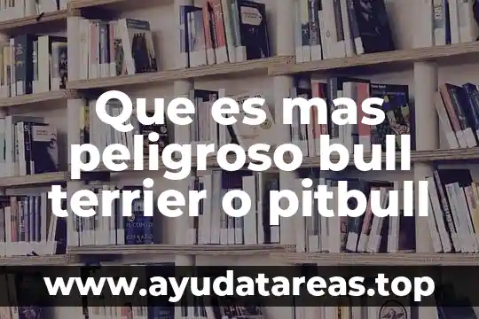 Que es mas peligroso bull terrier o pitbull