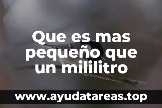 Que es mas pequeño que un mililitro