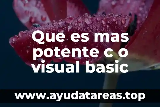 Que es mas potente c o visual basic
