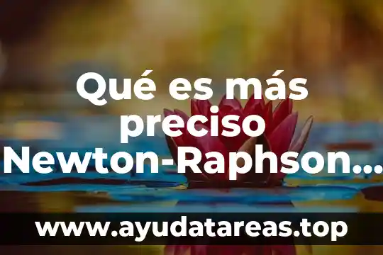 Que es una memoria rom tipos en la electronica 4 Qué es más preciso Newton-Raphson o secante