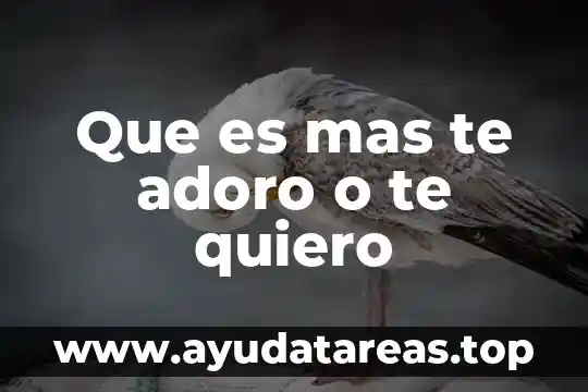 ¿Qué es mejor te de perejil o agua de oregano? 7 Que es mas te adoro o te quiero