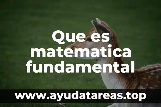 Que es matematica fundamental
