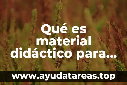 Qué es material didáctico para primaria