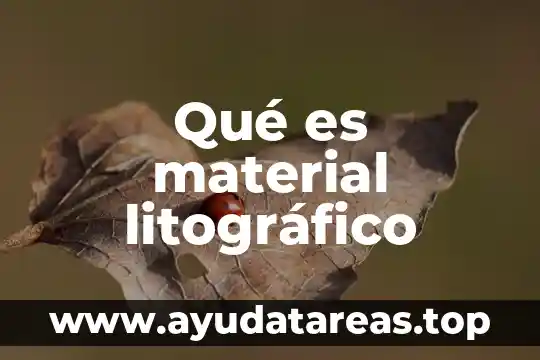 Que es realidad material objetiva 8 Qu茅 es material litogr谩fico