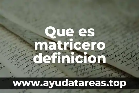 Que es matricero definicion