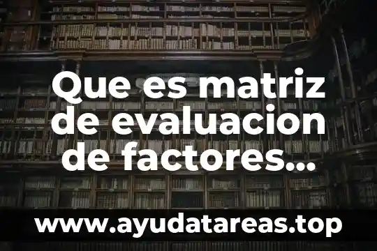 Que es matriz de evaluacion de factores internos