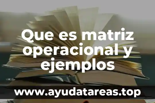 Que es matriz operacional y ejemplos