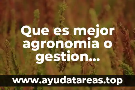 Defincion de que es la gestion del agua 5 Que es mejor agronomia o gestion empresarial