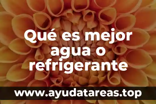 Que es el suministro de agua en forma directa 7 Qué es mejor agua o refrigerante