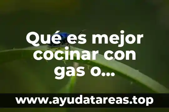 Qué es mejor cocinar con gas o electricidad