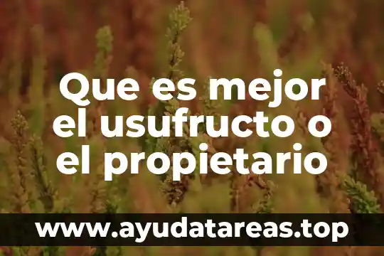 Qué es mejor para pasar fotografías Face o What 6 Que es mejor el usufructo o el propietario