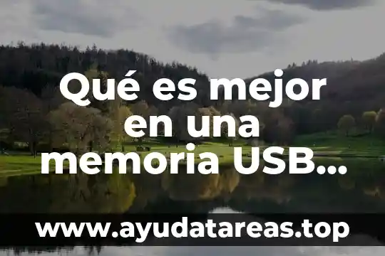 Qué es el cable USB y para qué sirve 6 Qué es mejor en una memoria USB FAT32 o NIFS