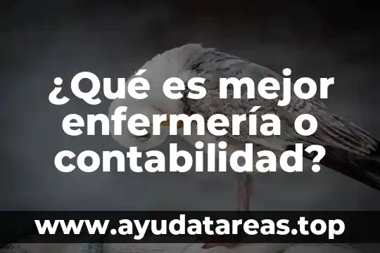 Que es implementación en contabilidad 6 ¿Qué es mejor enfermería o contabilidad?