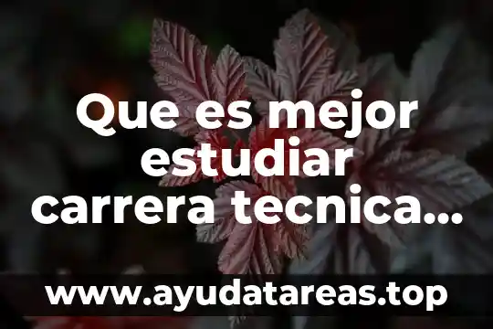 Qué es ética profesional comentarios 6 Que es mejor estudiar carrera tecnica o profesional