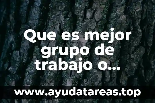 Que es mejor grupo de trabajo o dominio