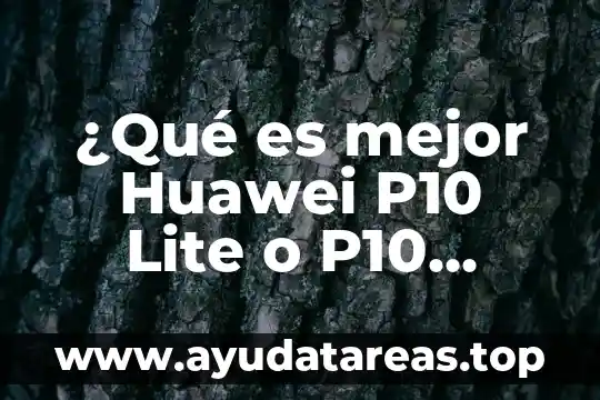 ¿Qué es mejor Huawei P10 Lite o P10 Selfie?