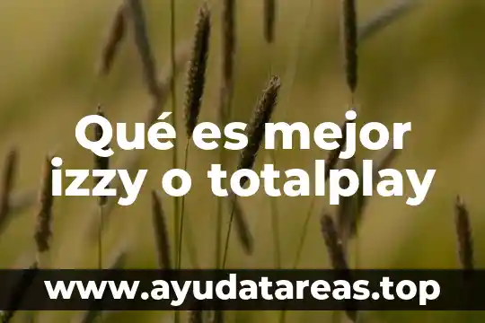 Qué es mejor izzy o totalplay