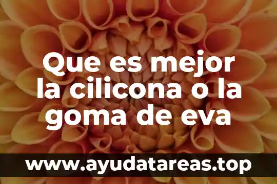 Argumento que justifique que es mejor saber palabras nuevas 8 Que es mejor la cilicona o la goma de eva