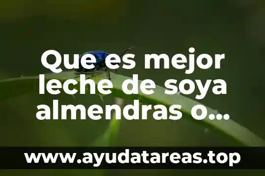 Que es mejor leche de soya almendras o coco