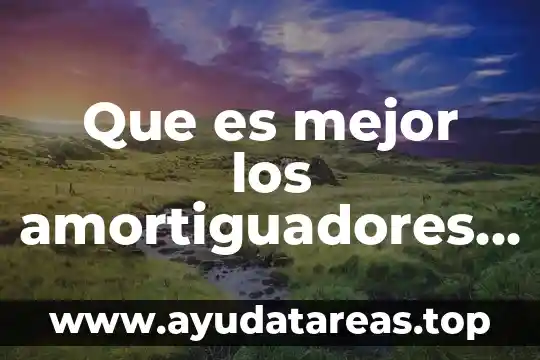 Que es mejor dk tanque sangre o escarcha 3 Que es mejor los amortiguadores delanteros o trazeros
