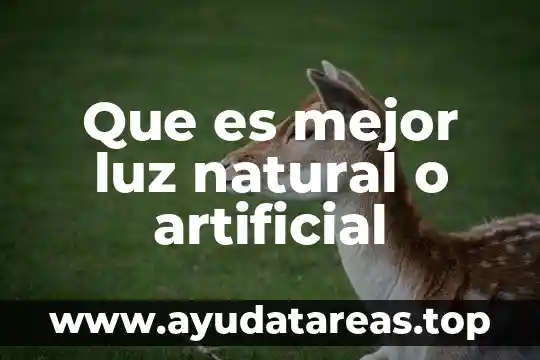 Que es mejor luz natural o artificial