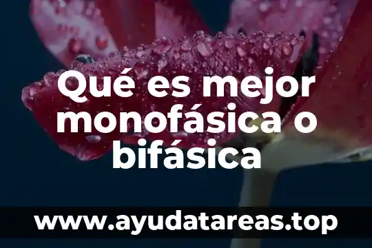 Que es tepalcate significado 8 Qué es mejor monofásica o bifásica