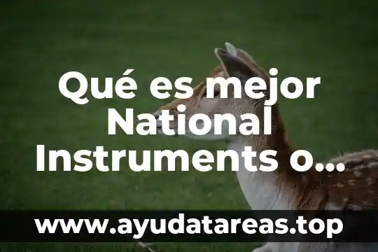 Qué es mejor National Instruments o Vision