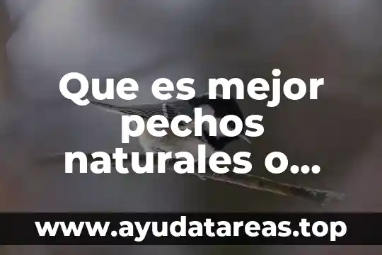 Que es la explotación excesiva de los recursos naturales 4 Que es mejor pechos naturales o operados