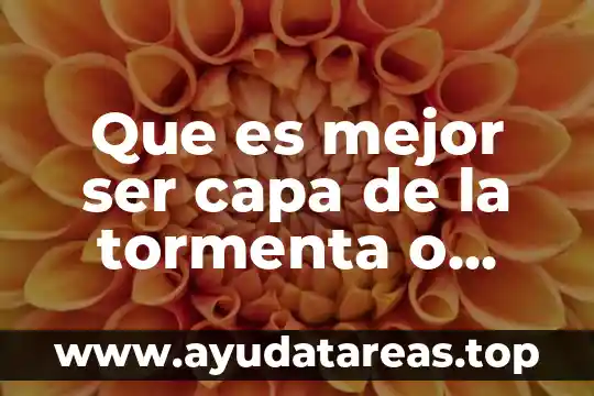 Qué es mejor Amazon o Mercado Libre 7 Que es mejor ser capa de la tormenta o imperial