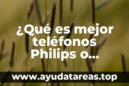 Motorola que es contra el agua 3 ¿Qué es mejor teléfonos Philips o Motorola?
