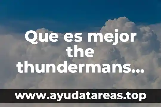 The sssay que es y tipos 4 Que es mejor the thundermans vs henry