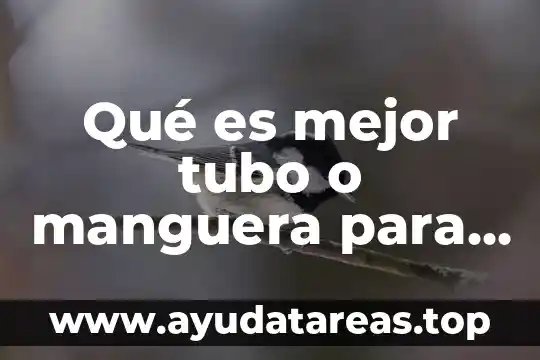 Que es mejor inflación o deflación 8 Qué es mejor tubo o manguera para agua para enterrar
