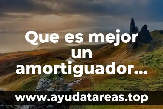 Que es un gas concepto 5 Que es mejor un amortiguador de gas o un hidráulico