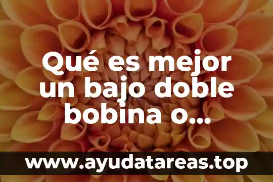 Qué es el padre bajo los siguientes conceptos místico psicológico 7 Qué es mejor un bajo doble bobina o bobina sencilla