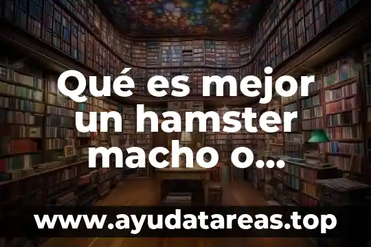 Qué es mejor un hamster macho o hembra