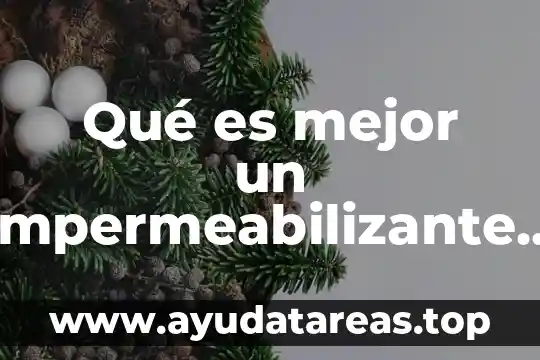 Qué es un ludograma definición 4 Qué es mejor un impermeabilizante elástomérico o acrílico