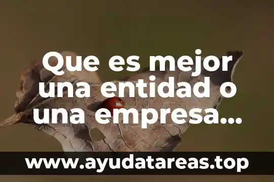 Que es mejor una entidad o una empresa seárad